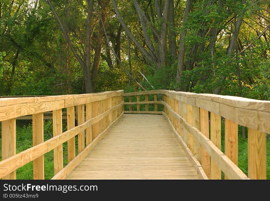 Wooden Path