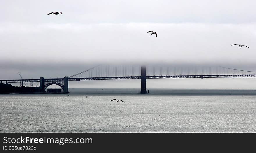 Golden Gate bridge in a fog. Canon 20D