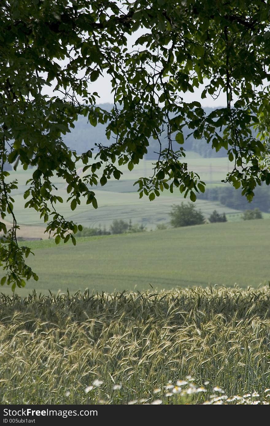 Landscape and agricultural photography. Landscape and agricultural photography