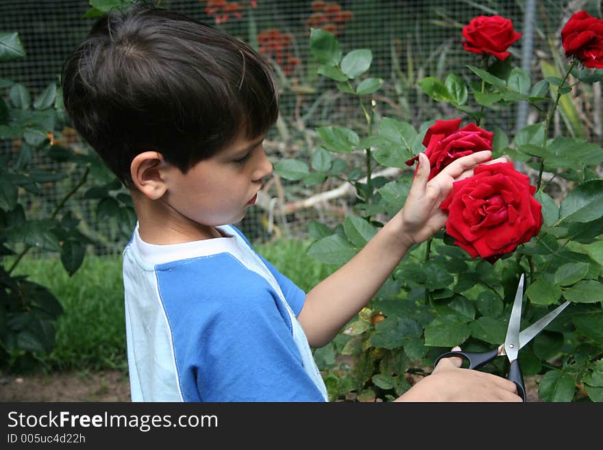 Boy and red roses