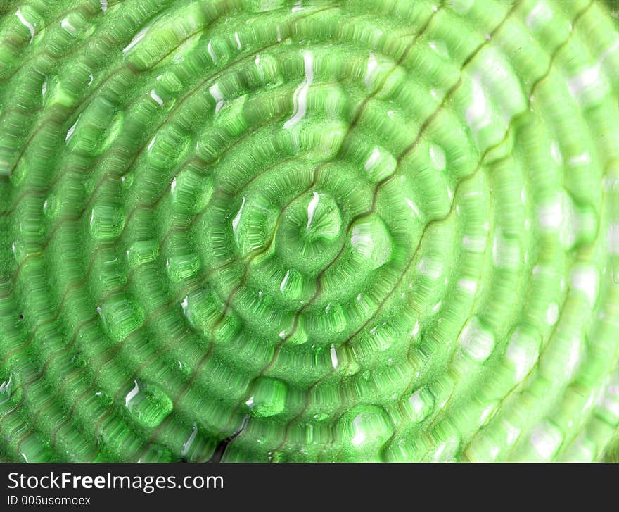 Raindrops on a petal. Raindrops on a petal