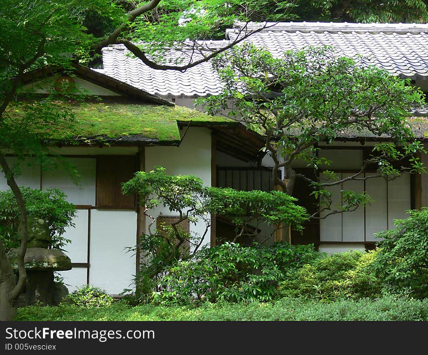 Japanese tea house surrounded by trees