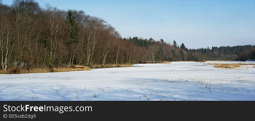 Panorama of lake and forest in wintertime in Denmark