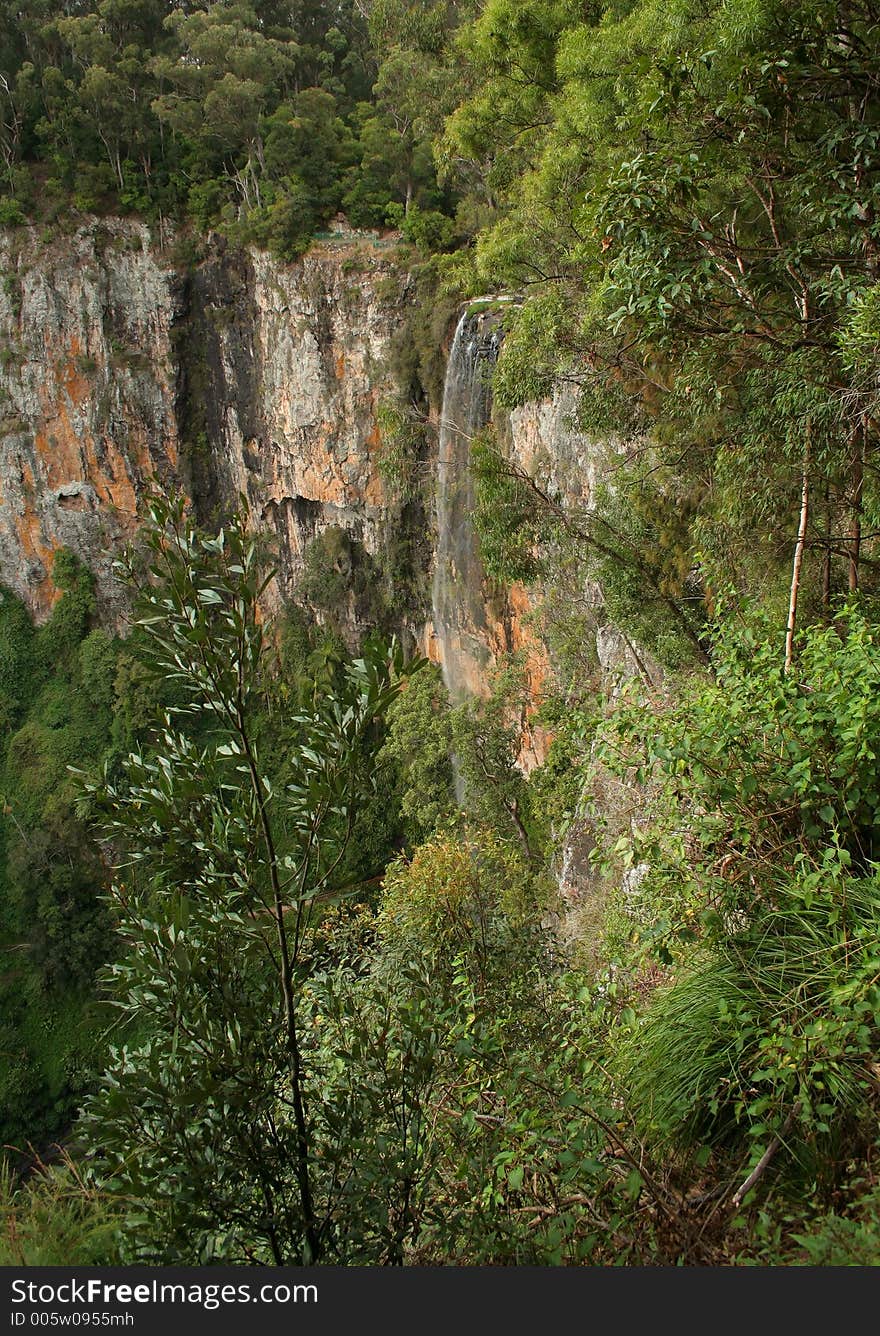 Falls at Springbrook, Queensland, Australia. Falls at Springbrook, Queensland, Australia