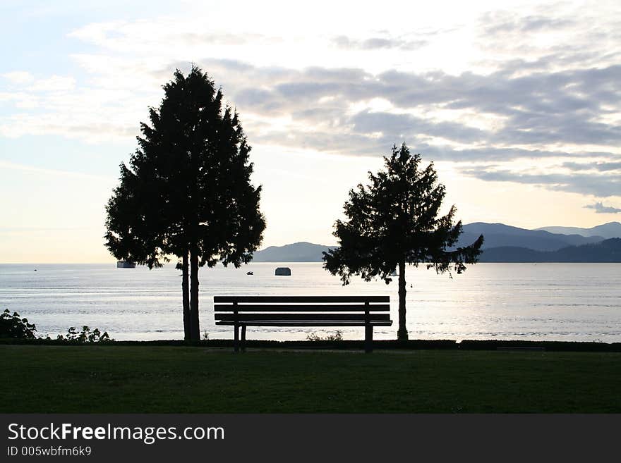 Bench And Trees