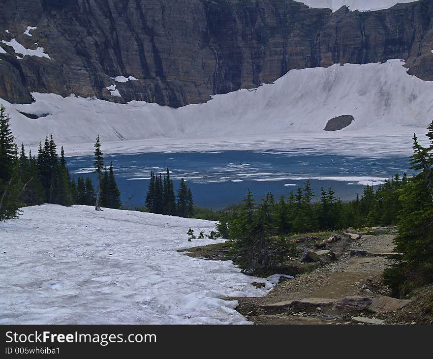 Iceberg Lake, Ice Floes And Cliffs