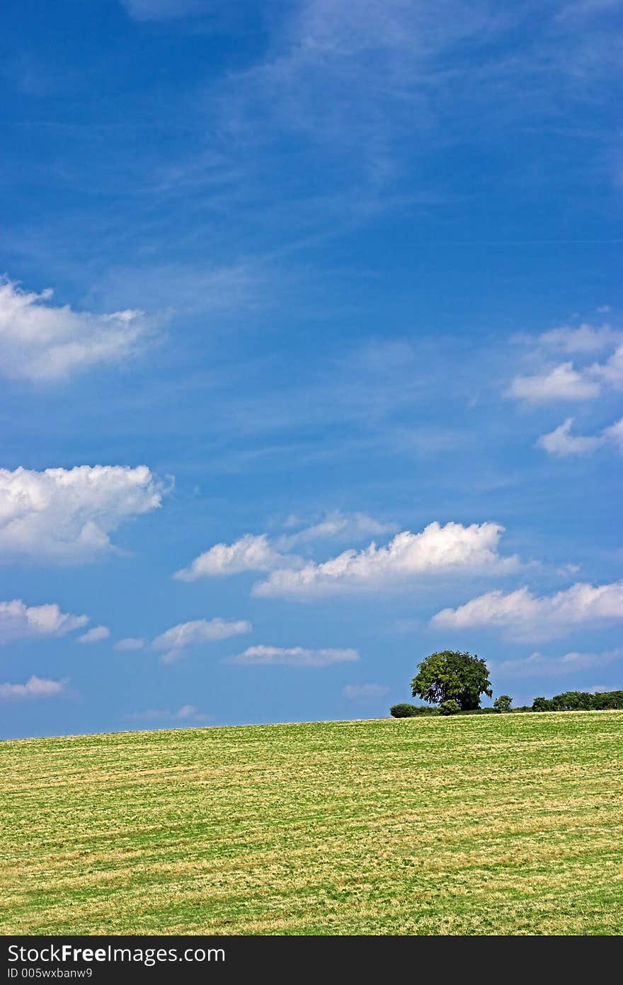 Quiet rural scene. Quiet rural scene