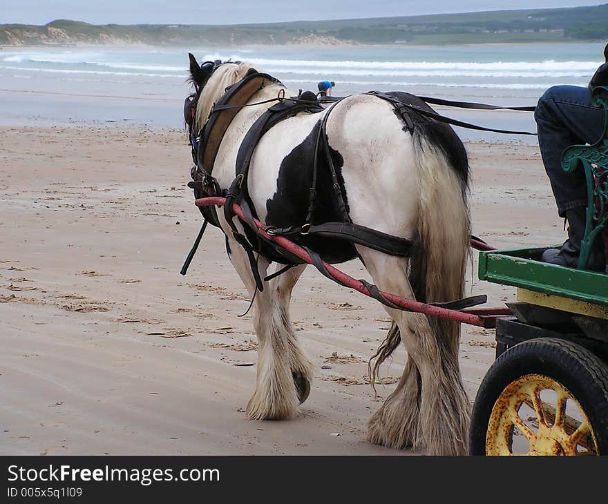 A horse and cart working with children on the beach at a local fete. A horse and cart working with children on the beach at a local fete.