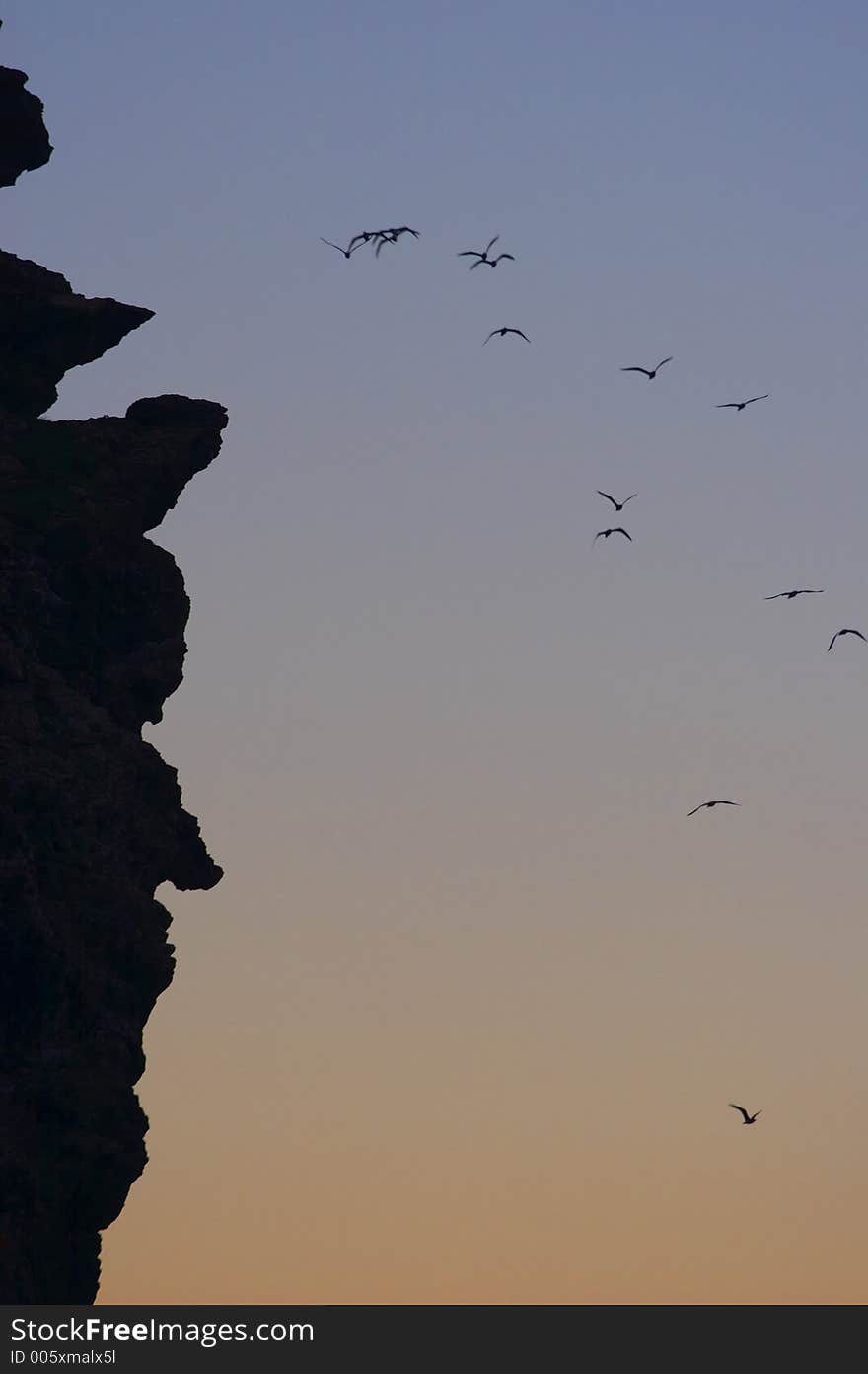 Hawks above Falcone Cape, Stintino, Sardinia, Italy. Hawks above Falcone Cape, Stintino, Sardinia, Italy