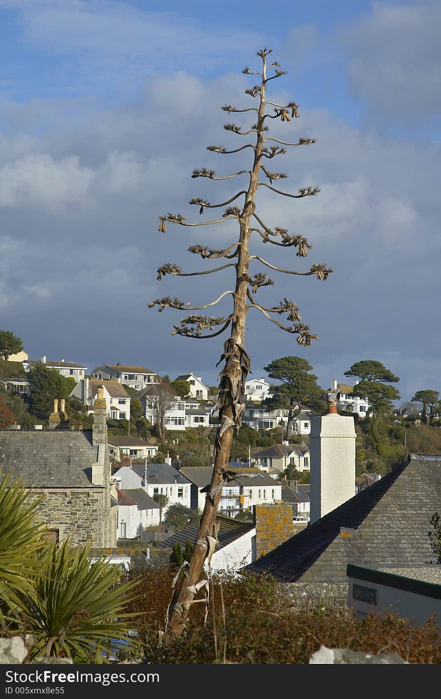 St Mawes, Cornwall, United kingdom. St Mawes, Cornwall, United kingdom