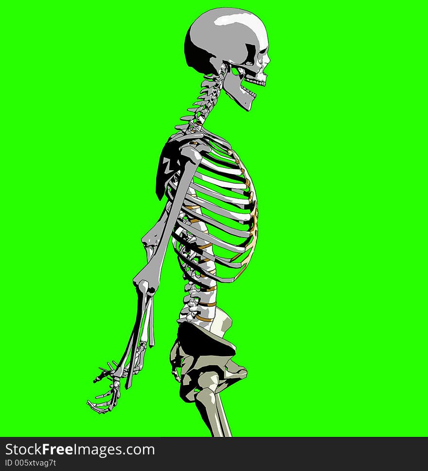 A skeleton in a pose. A skeleton in a pose