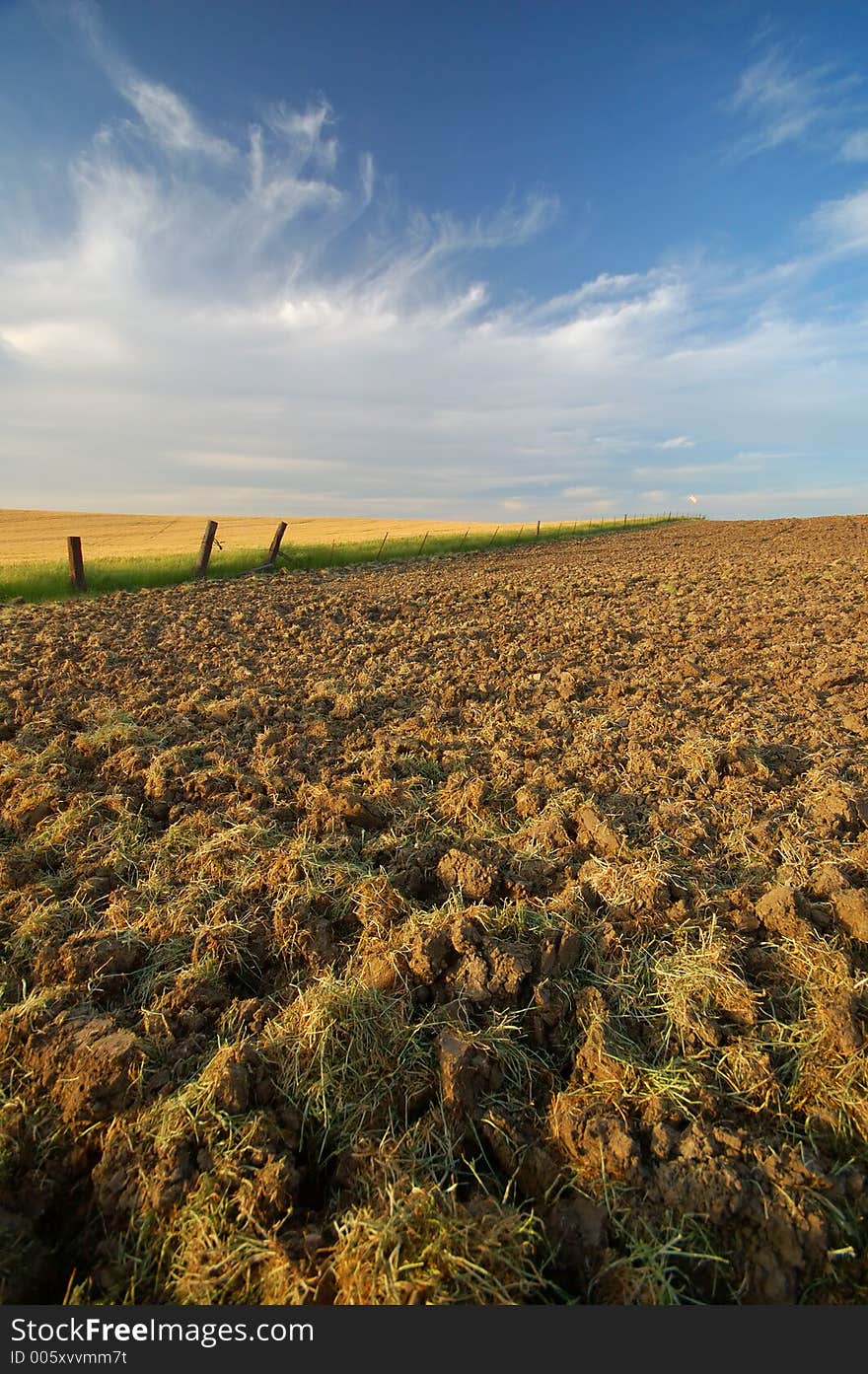 Agricultural landscape