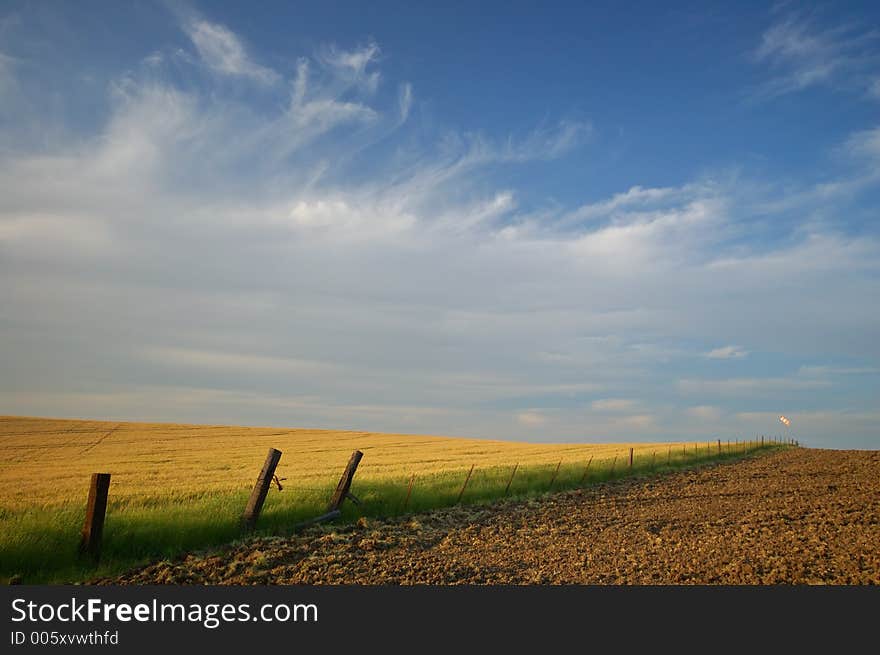 Agricultural landscape