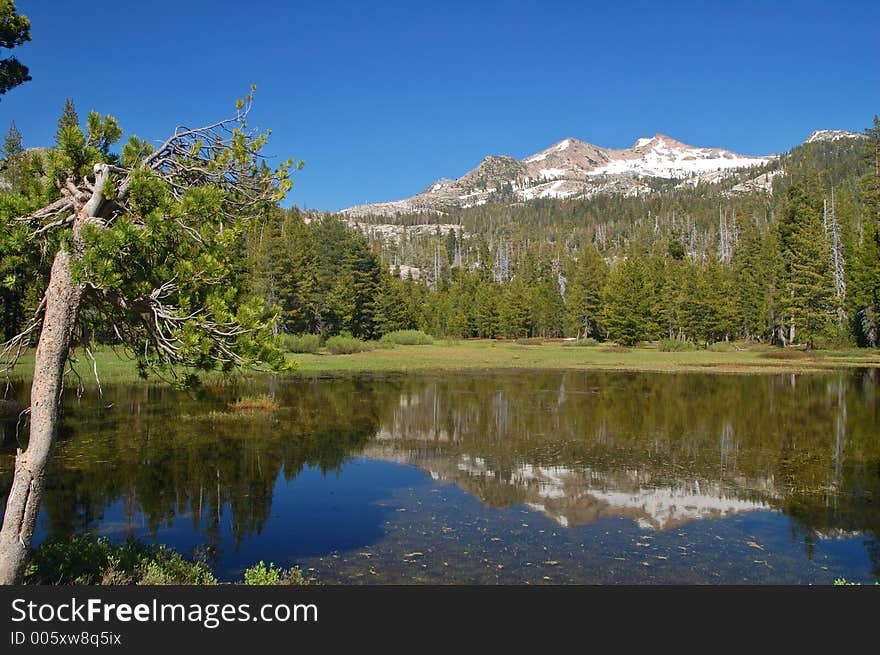 Mountains in springtime