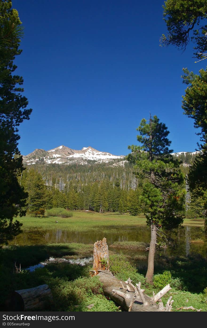 Mountains in springtime