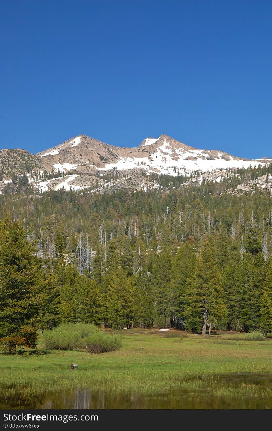 Mountains in springtime