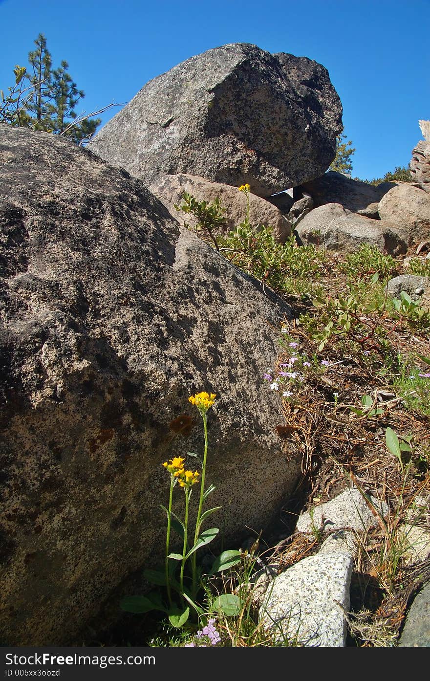 Mountains in springtime