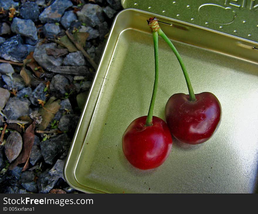 Wild Cherrys In The Box