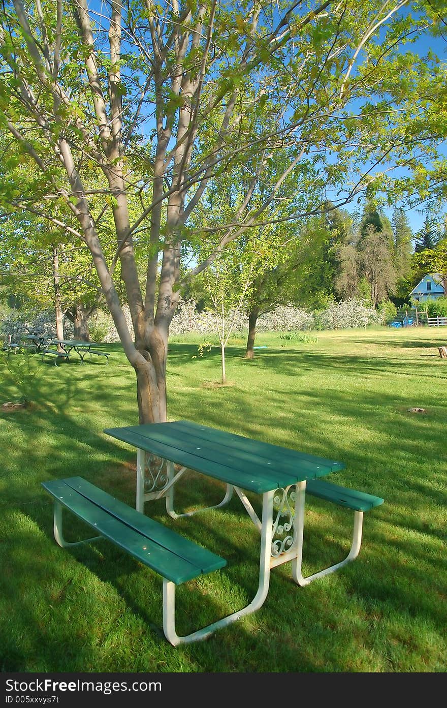 Verdant spring landscape