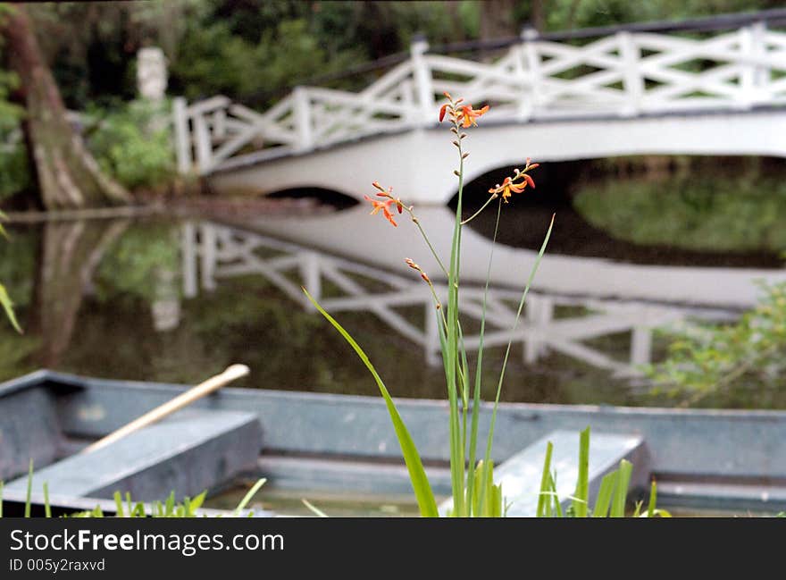 Boat And Bridge