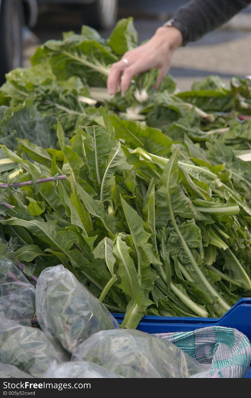 hand picking produce at Farmer's market. hand picking produce at Farmer's market