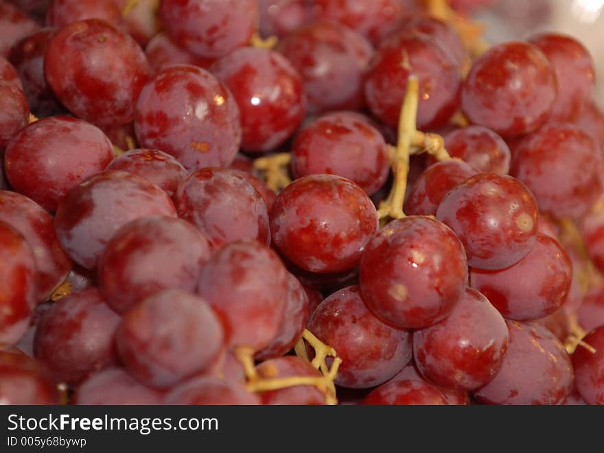 Red Wine Grapes