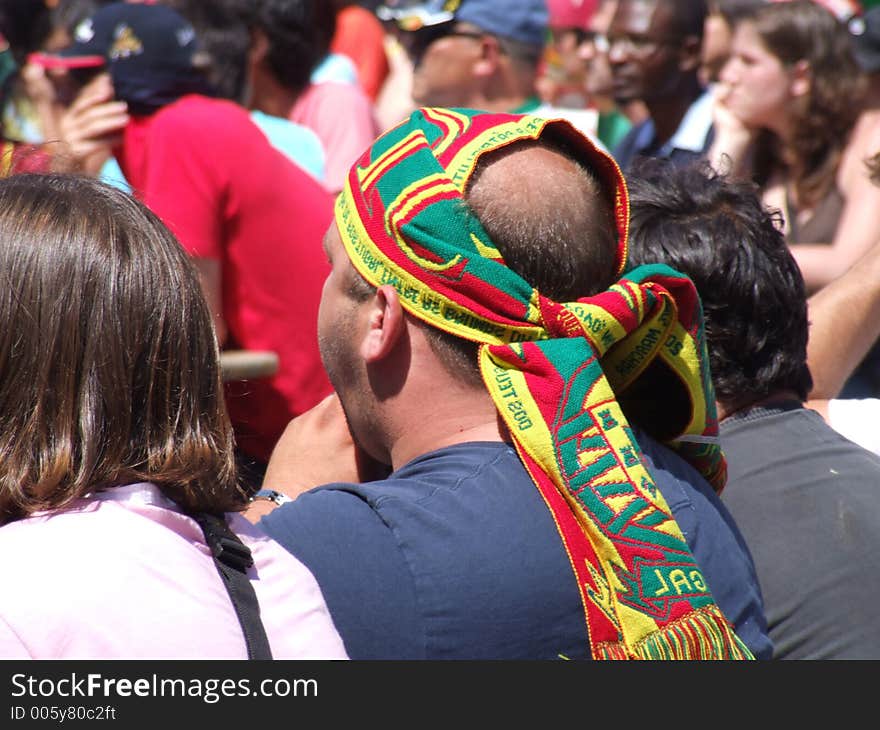 Portuguese national team supporters. Portuguese national team supporters