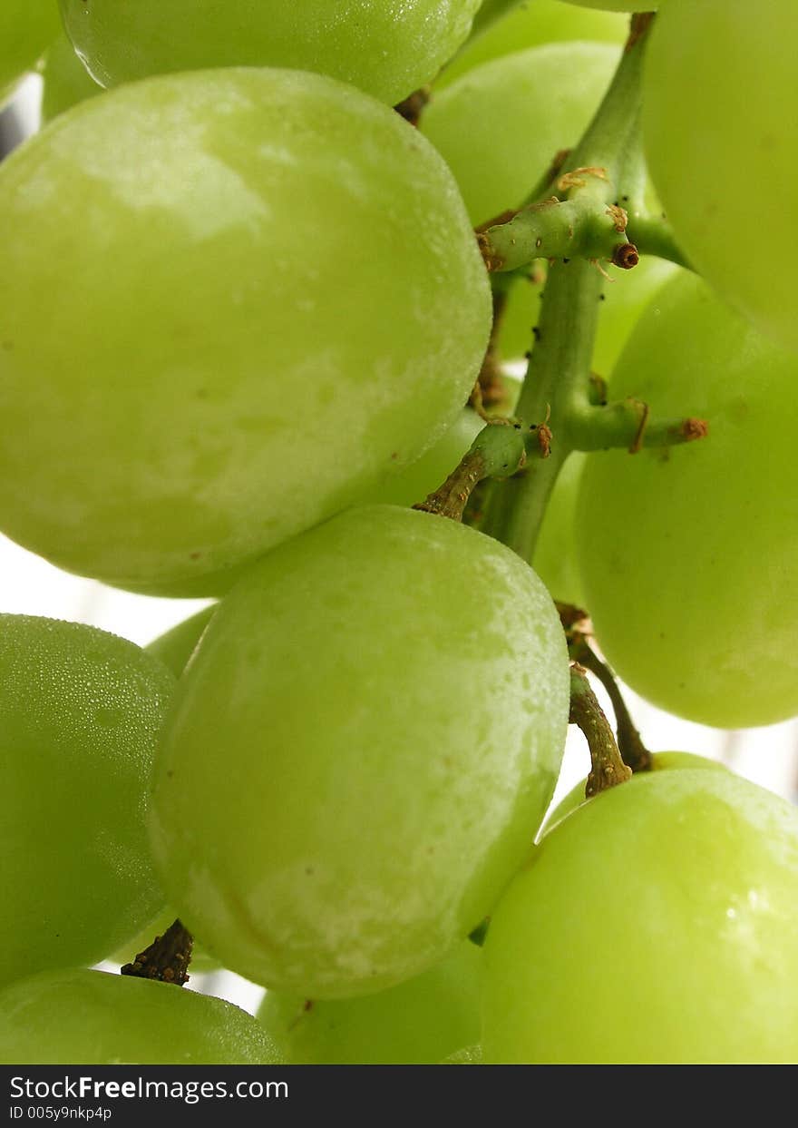 Fresh bunch of green grapes. Fresh bunch of green grapes.