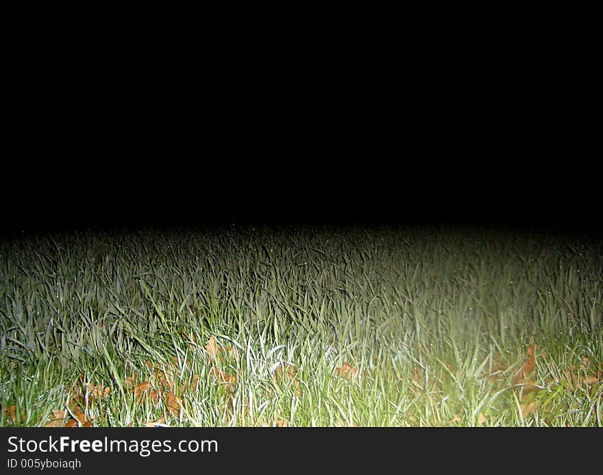 Illuminated Grass