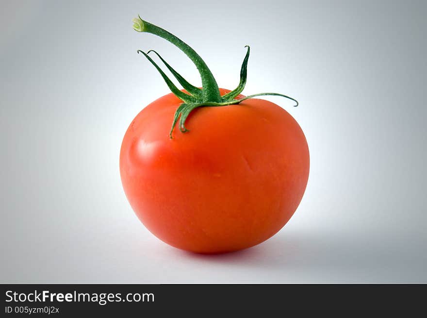 Tomato isolated on backdrop