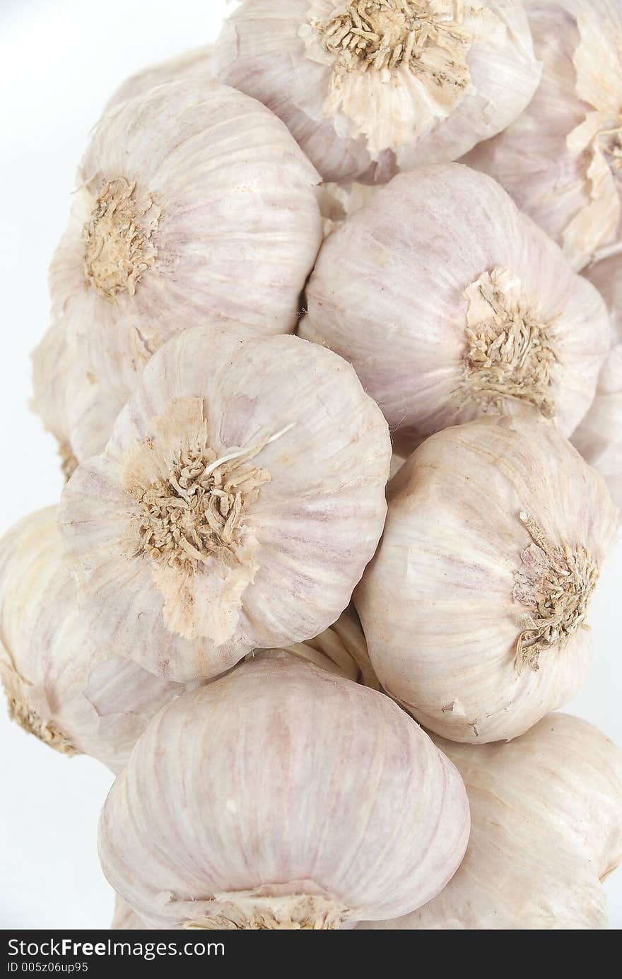 Isolated rope of garlic on white background