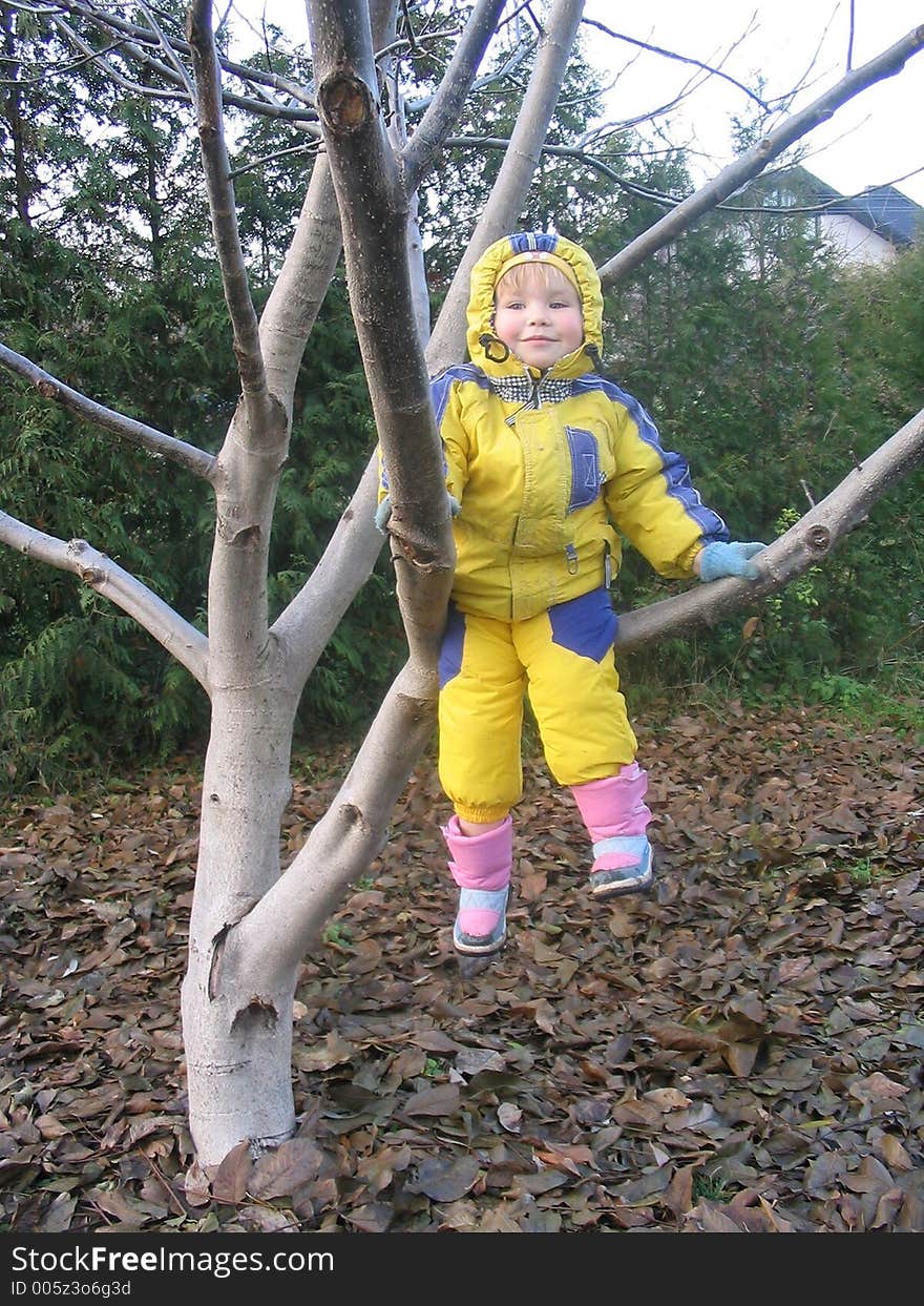 A girl sitting on the walnut branch. A girl sitting on the walnut branch