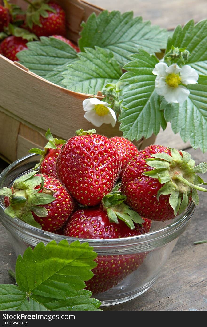 Ripe strawberry-juicy garden crop. Ripe strawberry-juicy garden crop