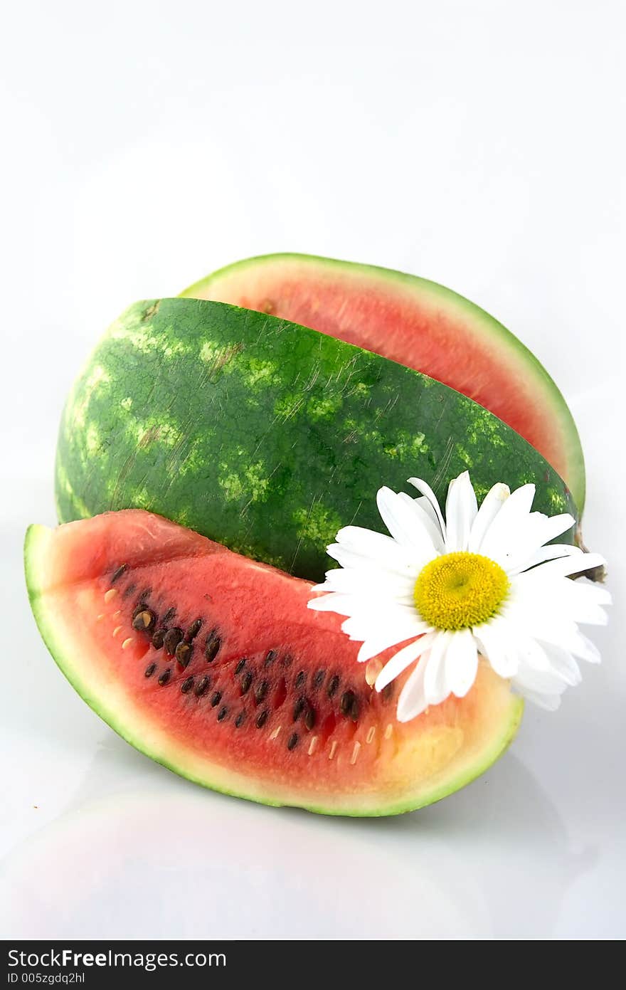 Watermelon Portrait