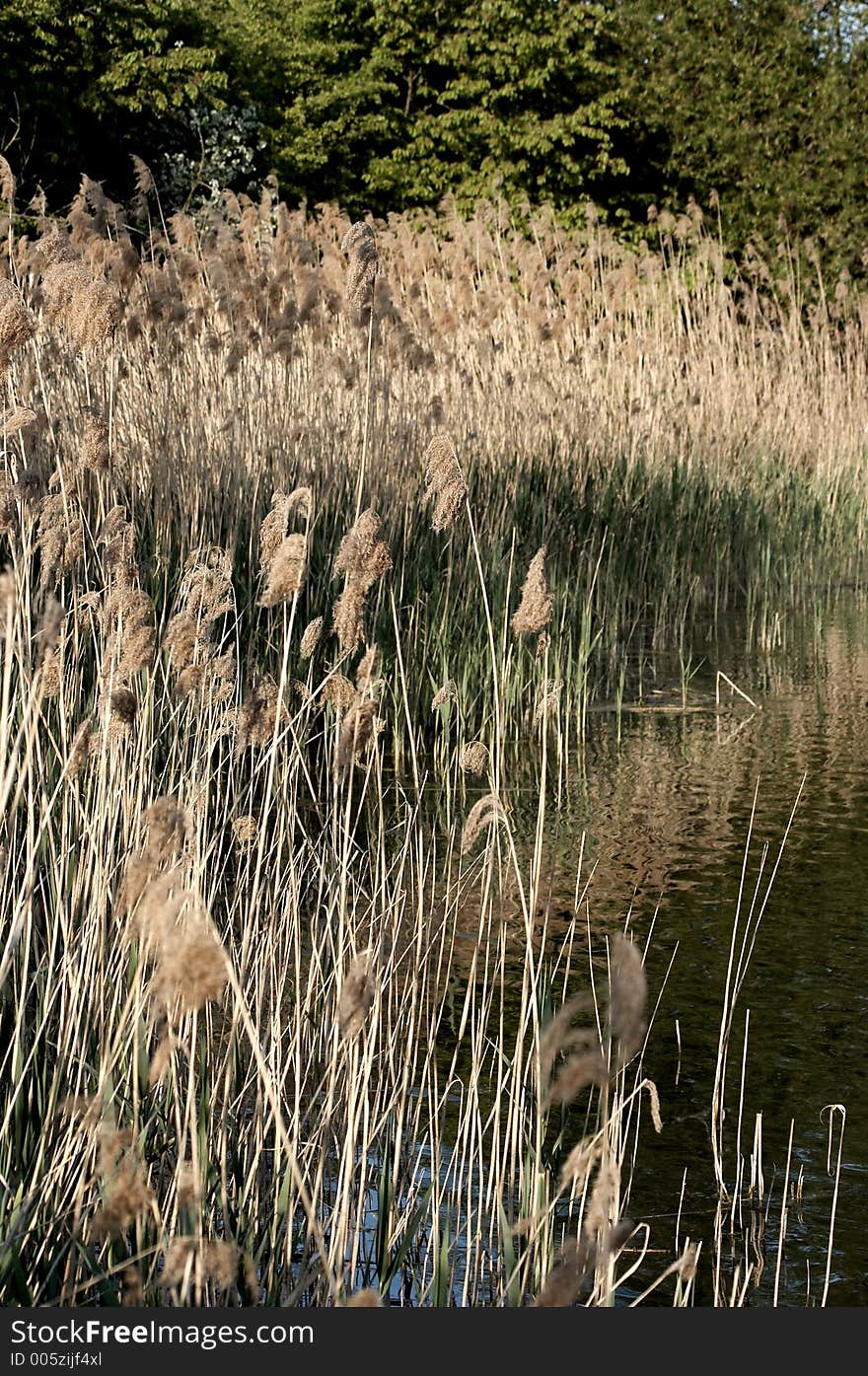 Small lake