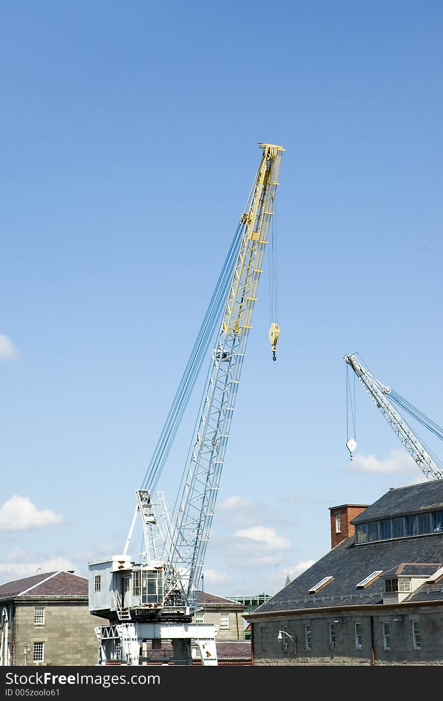 White and  yellow cranes