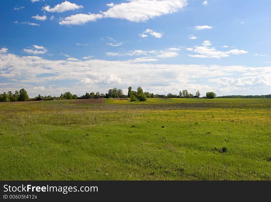 Summer landscape