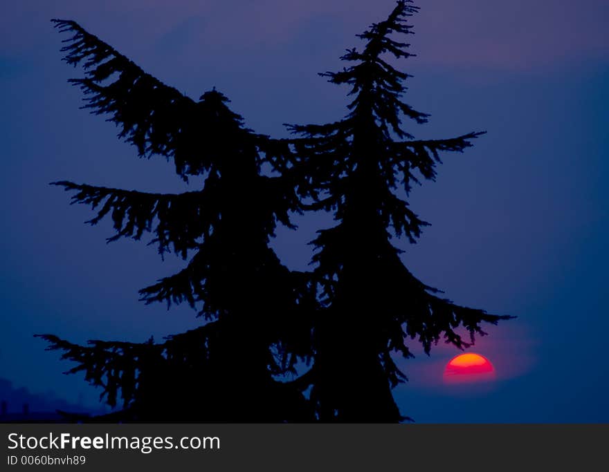 Red sunset on a blue sky, silhouette style