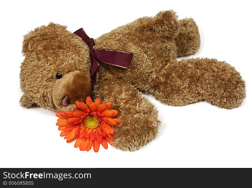 Isolated Teddy and orange flower