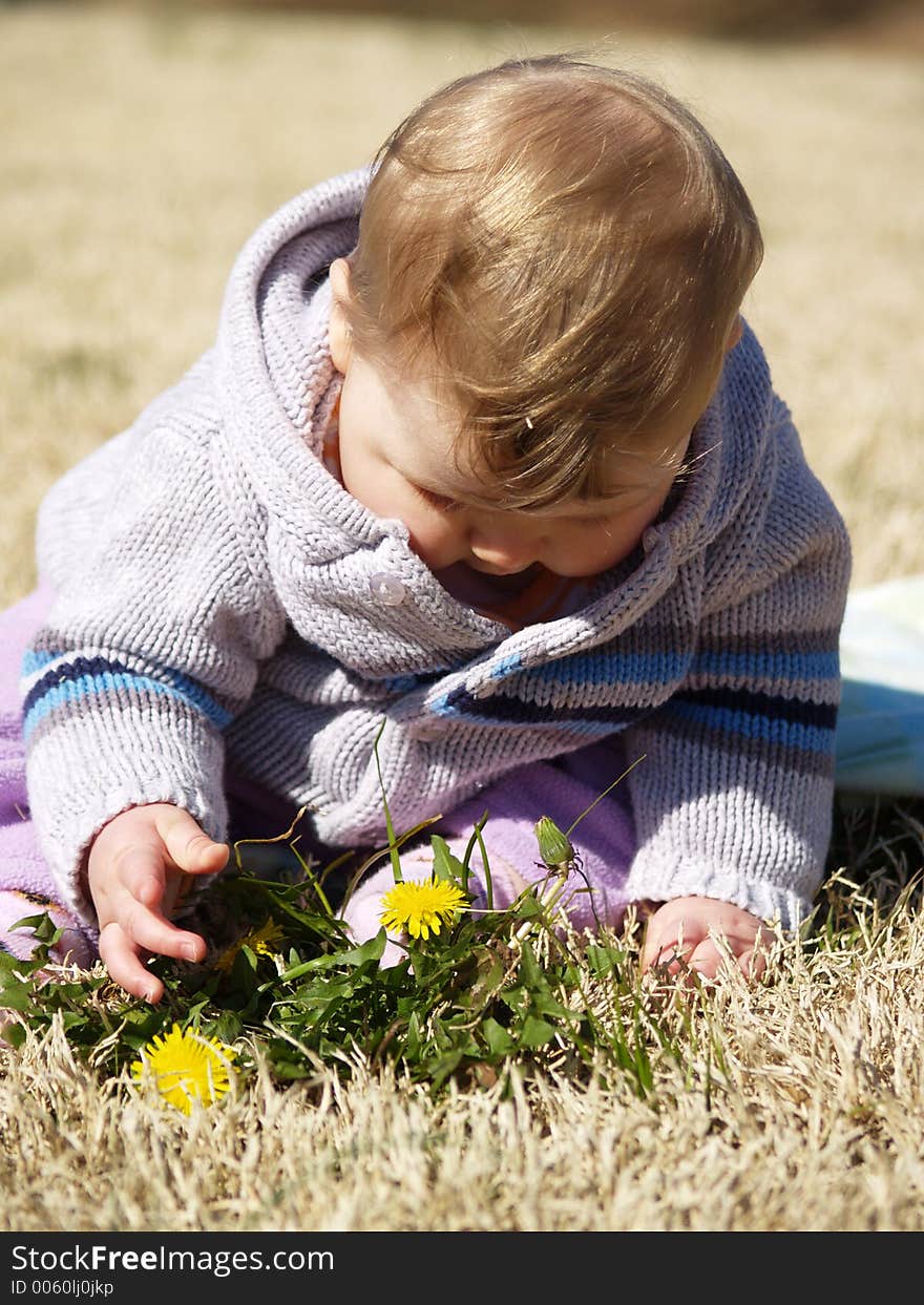 Cute baby with dandelion