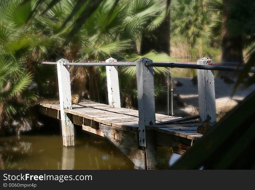 Birdge with palm trees. Birdge with palm trees.