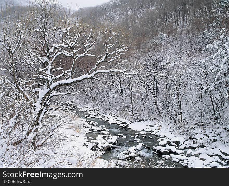 Snows on Branch Details