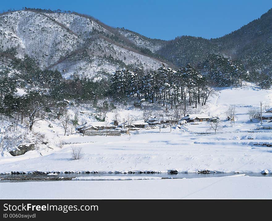 Trees with Mountain