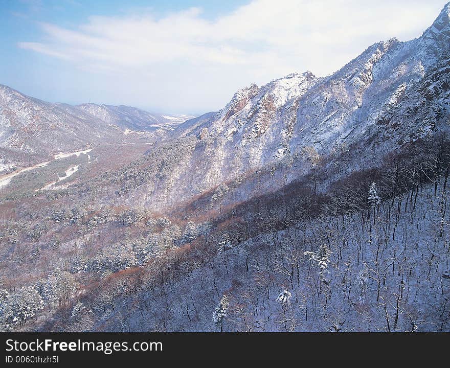 Landscape with Snow Details