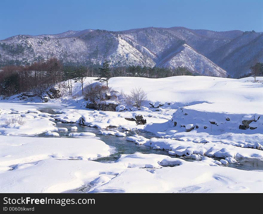 Mountain with Trees