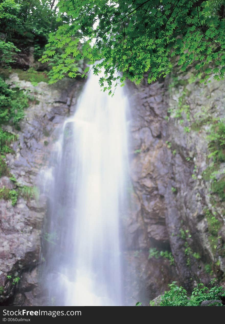 Leaves and Waterfalls