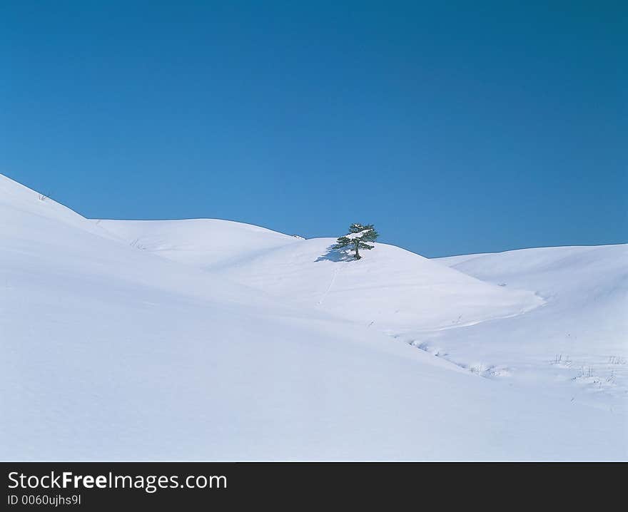 Snow and Sky Details