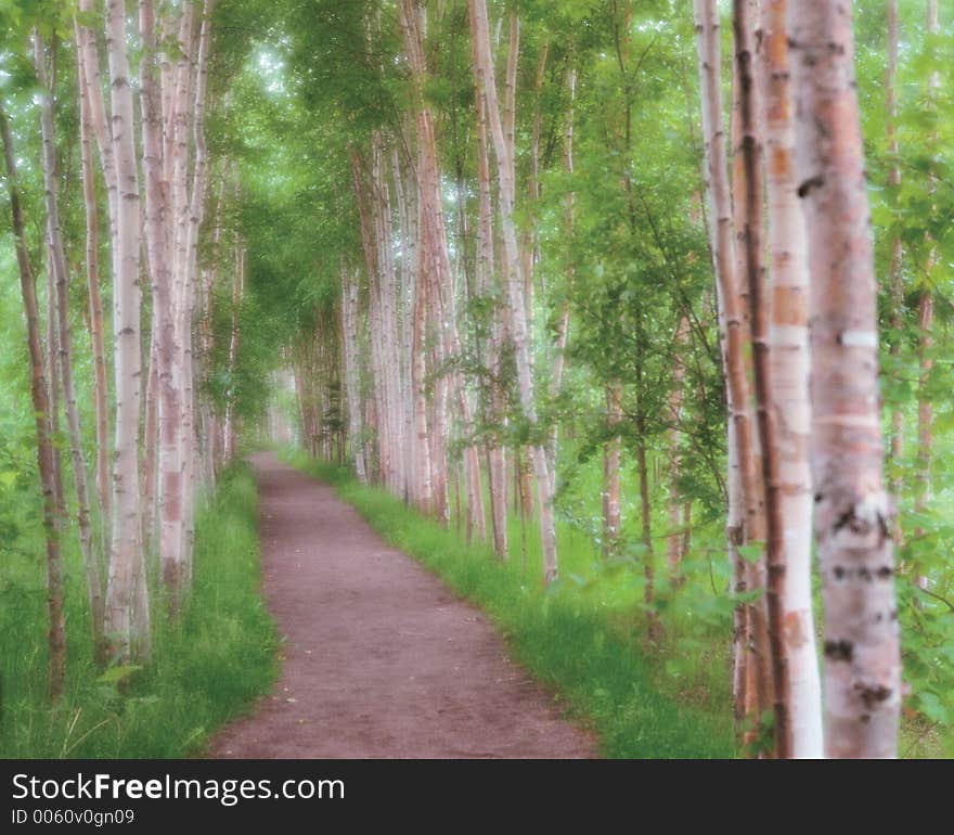 Trees and Grass Details