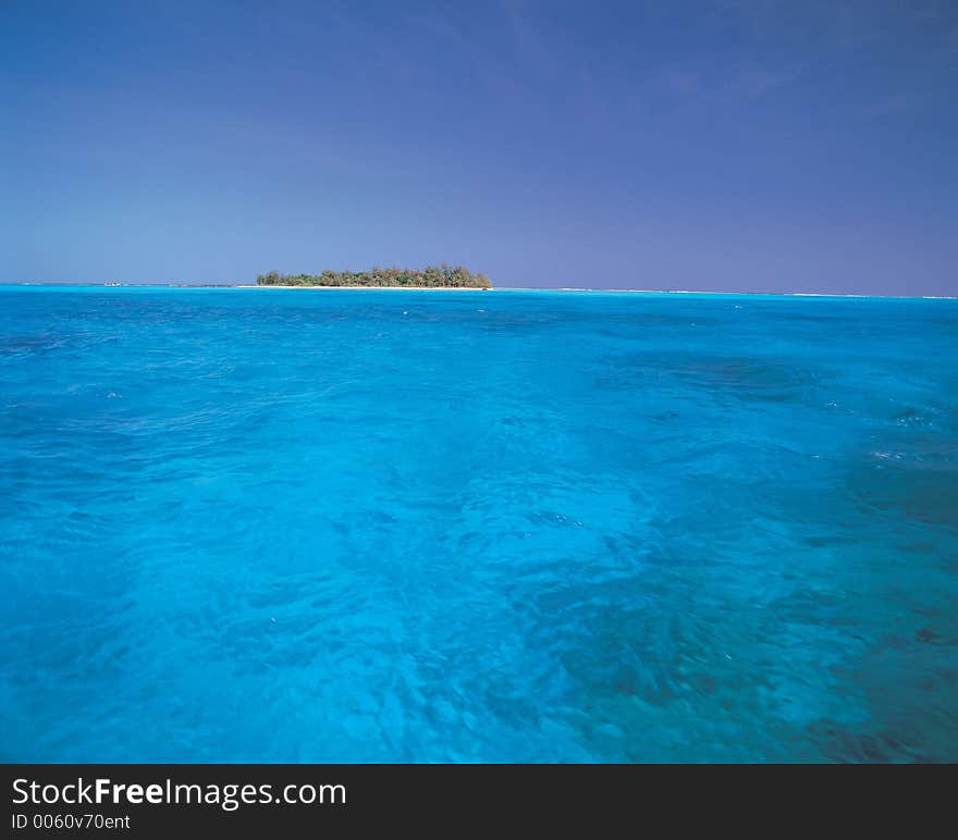 Island with Sea Details