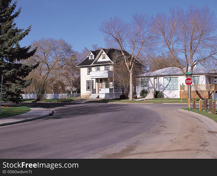 House by Trees Details